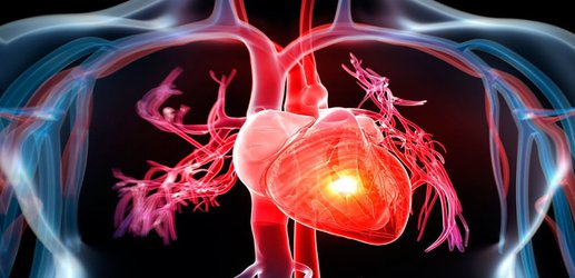 Injecting new heart cells improves recovery from heart attacks