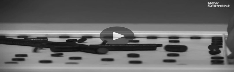 Watch magnets organise themselves and then leap into the air