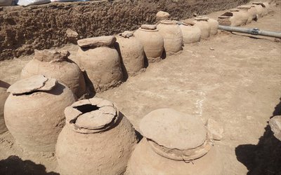 کاوش نجات بخشی محوطه تاریخی دامسک تربت حیدریه توسط گروه باستان شناسی دانشگاه تربت حیدریه