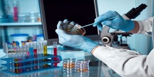 در دانشگاه تربیت مدرس طراحی شد: روش جدید اندازه‌گیری مقادیر ناچیز دارو در نمونه‌های بیولوژیک