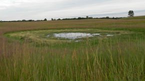 Obama's wetlands protection rule put 'too much emphasis' on science, Trump officials argue