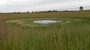 Obama’s wetlands protection rule put ‘too much emphasis’ on science, Trump officials argue