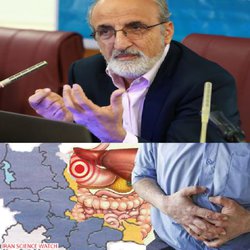 معاون تحقیقات وزیر بهداشت اعلام کرد: نخستین رتبه بندی ۳۰ استان ایران در بروز سرطان معده بر اساس جامع ترین گزارش ثبت سرطان مبتنی بر کل جمعیت