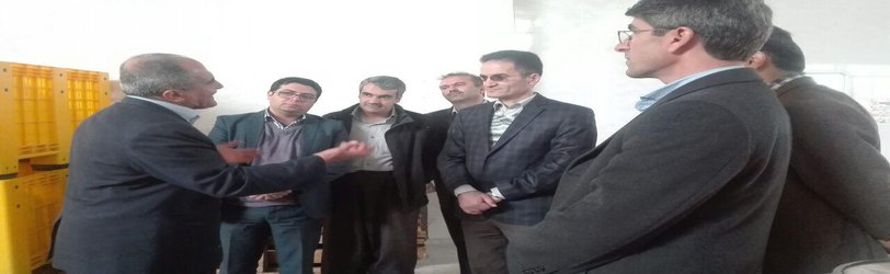 بازدید از کارخانه سقزسازی کردستان (ون)