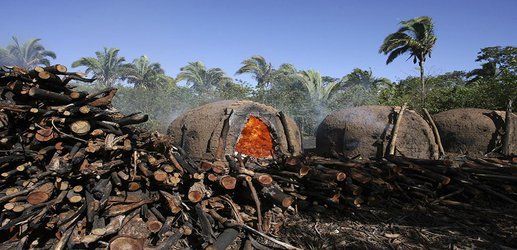 Deforestation ticks up in Brazil's savannah