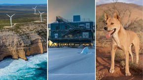 Top stories: liquid sunshine, a galactic messenger on ice, and an ecosystem-altering fence