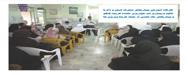کارگاه آموزشی زئونوز در شهرستان ترکمن برگزار شد