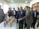 بازدید استاندار آذربایجان شرقی و رئیس سازمان جهاد کشاورزی استان از موسسه تحقیقات کشاورزی دیم کشور