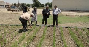 بازدید معاون پژوهشی و فناوری سازمان تحقیقات از گنجینه طرح ها و دستاوردهای پژوهشی ایستگاه تحقیقات عراقی محله گرگان