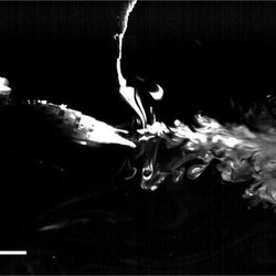 Dragonfly Larvae Inspire New Designs for Prosthetic Heart Valves
