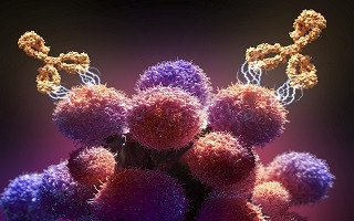 یورش به تومور سرطانی با همکاری نانوذرات و سیستم ایمنی بدن