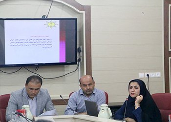 استفاده از الگوی آیین‌نامه‌های نظام‌نامه سلامت گناوه در سطح استان بوشهر