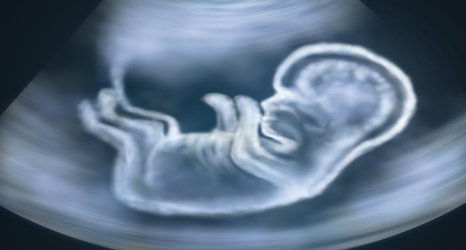 New technology can keep an eye on babies' movements in the womb 