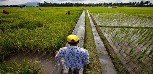 Philippines sweetens deal for scientists who return home