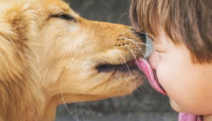 Why the Most Helpful Dogs Keep Calm and Carry On