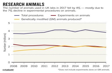 UK labs made 1.9 million transgenic animals last year