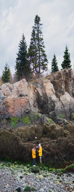 A Photographer Documents the Effects of Climate Change on Maine's Intertidal Zones