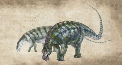 New dinosaur species named ‘amazing dragon from Lingwu’ discovered in China