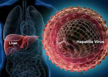 حدود ۸۵ درصد افراد مزمن بیماری هپاتیت C پس از ۲۰ سال دچار آسیب شدید کبدی می‌شوند