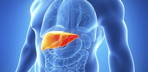 ساخت کپسول گیاهی محافظ کبد توسط محققان کشور