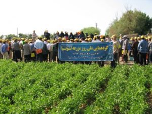 آئین گرامیداشت روز ملی مزرعه لوبیا در شهرستان خمین برگزار شد