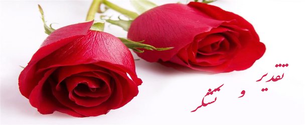 قدردانی بیمار سمیه شمسی از دکتر اعظم آذرگون متخصص زنان و فلوشیپ نازایی و دکتر فتحعلیان مدیریت مرکز