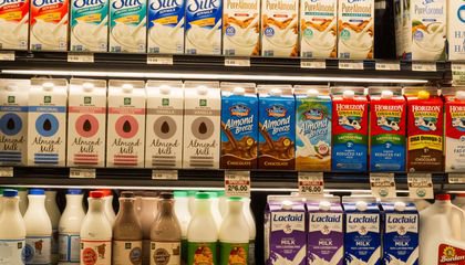 Nut Milks Are Milk, Says Almost Every Culture Across the Globe