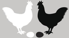 Quantum chicken-or-egg experiment blurs the distinction between before and after