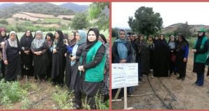 برگزاری دوره مهارتی گیاهان دارویی در شهرستان گرگان