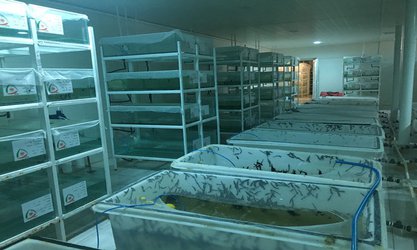 بازدید از نخستین مرکز پرورش زالوی طبی هیرودین استان همدان