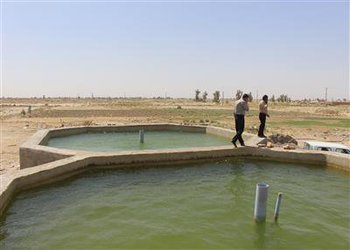 آغاز تجربه زندگی ماهی «باس دریایی» در آبهای نامتعارف خرمشهر