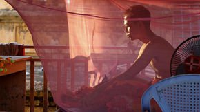 How the ‘other malaria’ escaped from Africa