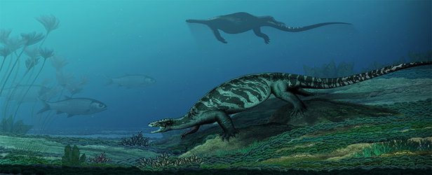 230-million-year-old turtle fossil deepens mystery of reptile's origins