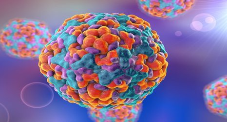 Viral outbreaks could be predicted two years in advance by mathematical model 