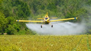 In battle over pesticide ban, Trump’s EPA aims to undermine the science