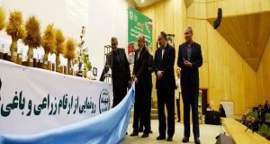 رونمایی از ۲ رقم جدید باقلای پژوهشگر مرکز تحقیقات و آموزش گلستان