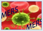 راه های پیشگیری از شیوع بیماری مرس(MERS) در بین زائرین حج تمتع و مستقبلین