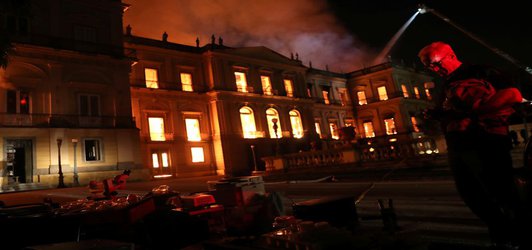 Hope emerges for Brazil museum specimens after devastating fire