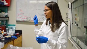 A year after Hurricane Maria, mainland scientists have helped Puerto Rican colleagues recover