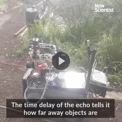Watch this bat-inspired robot use sound to navigate and spot plants