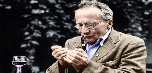 After the cat: Celebrating Schrödinger’s 75-year influence on biology