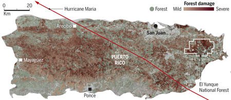 Puerto Rico’s catastrophic hurricane gave scientists a rare chance to study how tropical forests will fare in a stormier future