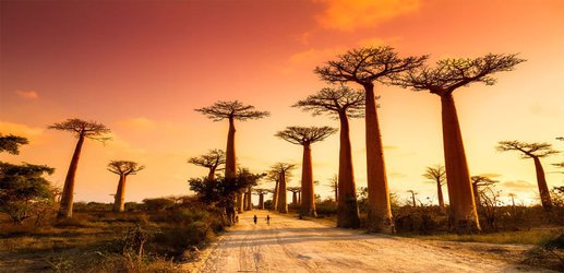 We may have reached Madagascar 6000 years earlier than once thought