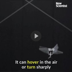 Watch this robotic fruit fly swoop, dive and perform impressive flips