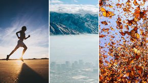 Top stories: a gene for marathons, piercing the haze on ammonia, and a health plan for the ‘Iceman’