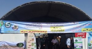 حضور فعال پژوهشگران مرکز تحقیقات و آموزش گلستان در جشنواره تولید و تجارت گیاهان دارویی و گلخانه ­ای و صنایع وابسته