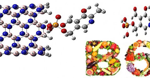 موفقیت پژوهشگران دانشگاهی در حفاظت ویتامین‌های گروه B با نانو لوله نیترید بور