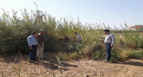 نظارت بر روند اجرای طرح مبارزه با مخزن سالک در شهرستان دامغان