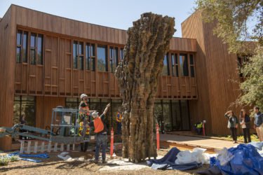 Sculpture installed at Stanford University’s Denning House anchors new art collection