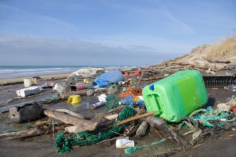 Last straw: The path to reducing plastic pollution